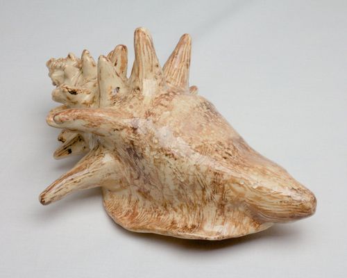 Detailreiche Keramikmuschel, Töpferhandwerk Lanzarote