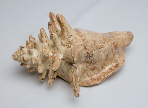 Große Keramikmuschel, Handwerk und Vulkanästhetik Lanzarote